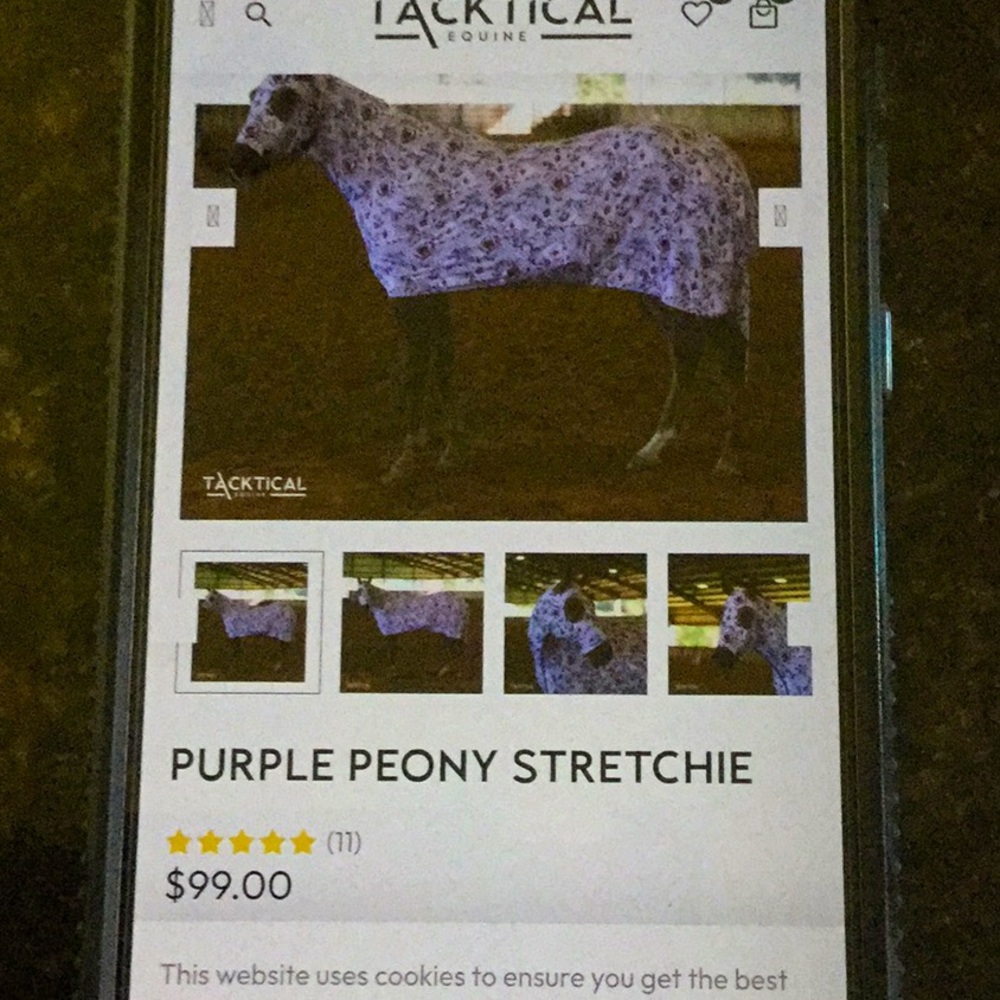 Tacktical horse trench slinkie full body Fallon Taylor tack barrel show travel